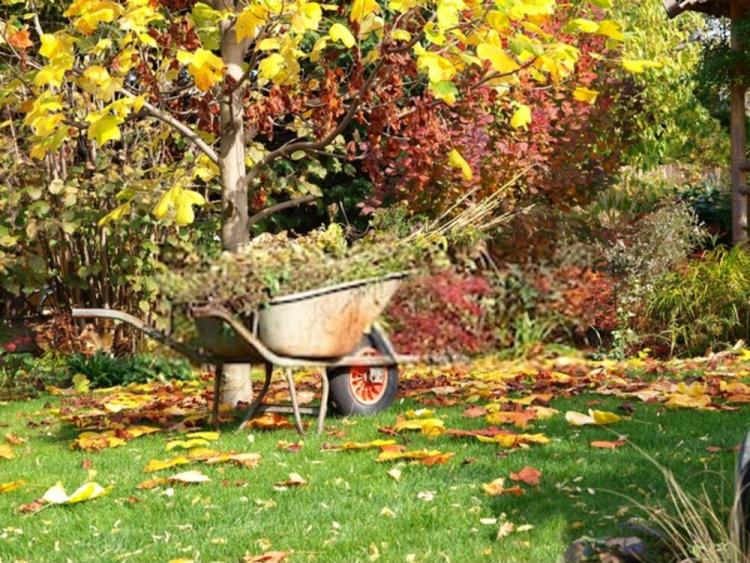 Ogród jesienny – piękno czy przekleństwo